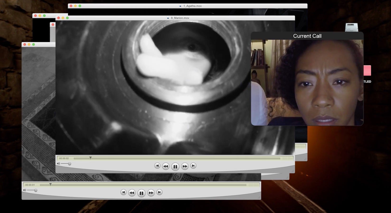 Unfriended Dark Web Is A Formally Bold Improved Horror Sequel By Wilson Smith Cinapse