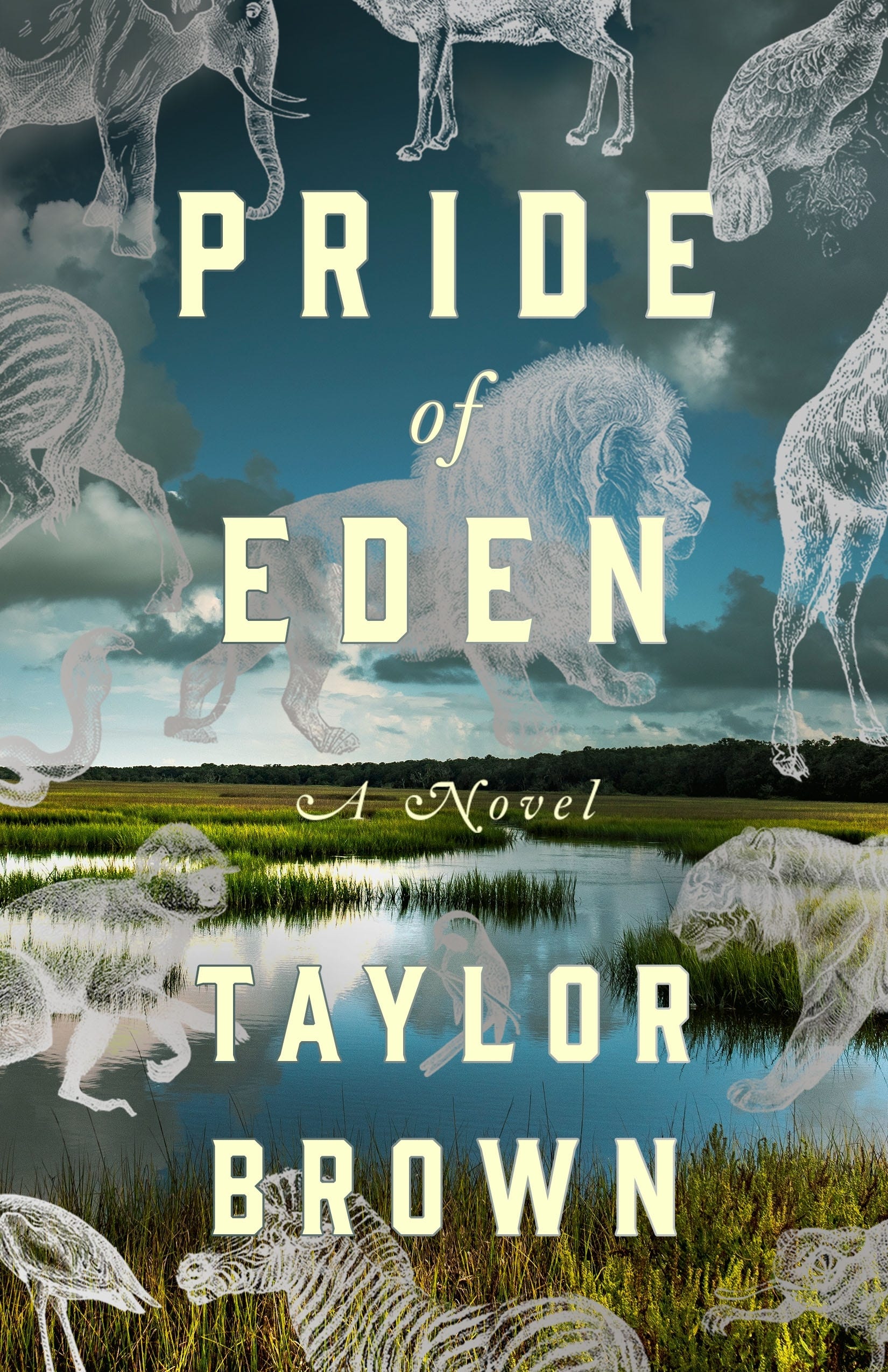 A Review Of Taylor Brown S Pride Of Eden By Zachary Houle Medium