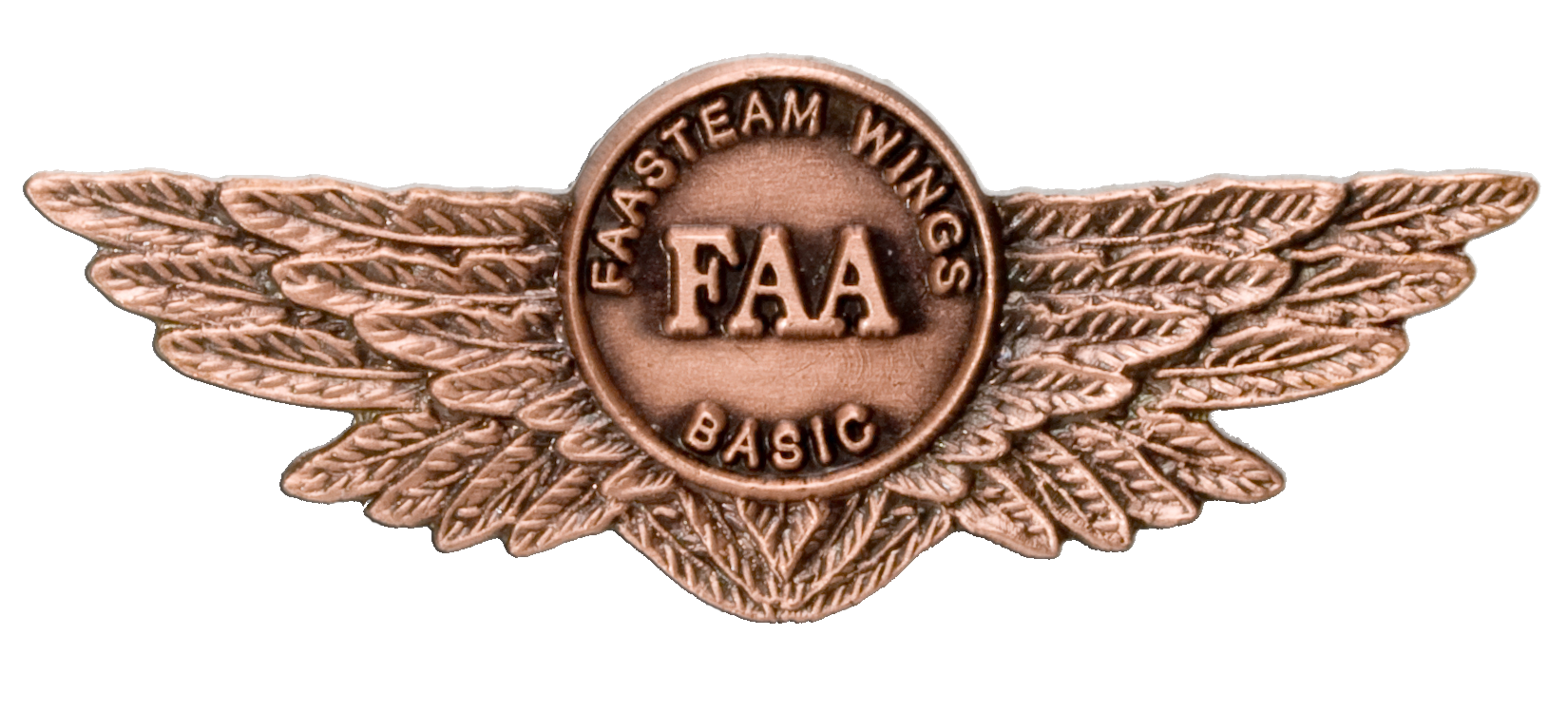 WINGS Pilot Proficiency Program. FlySafe GA Safety Enhancement Topic