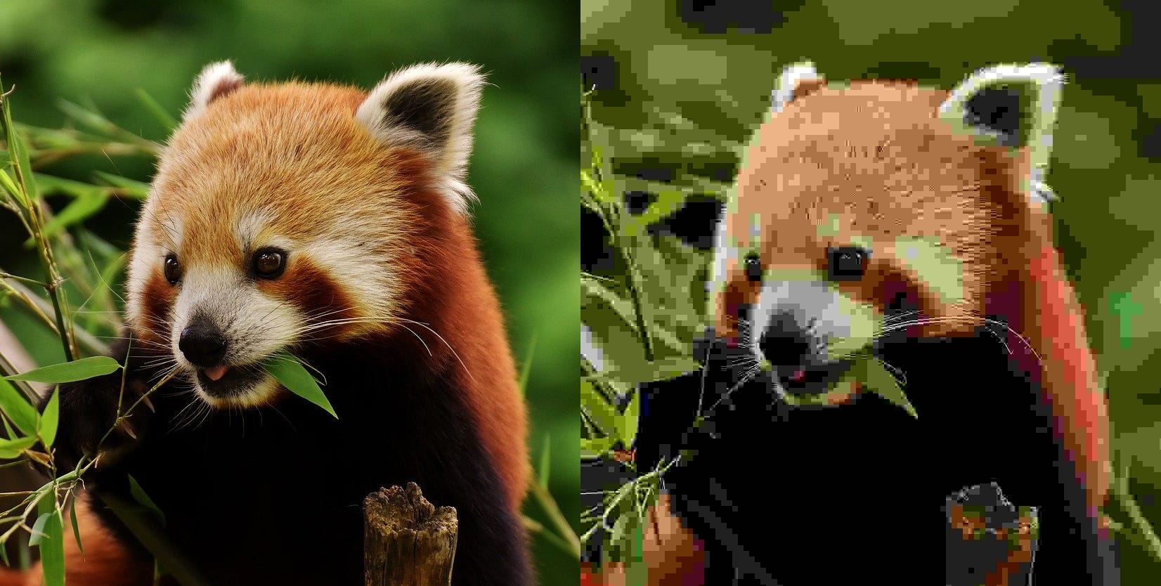 JPG vs. HEIC Image Files and How to Open Them in IrfanView/Windows 10 | by John Baometrus | Medium