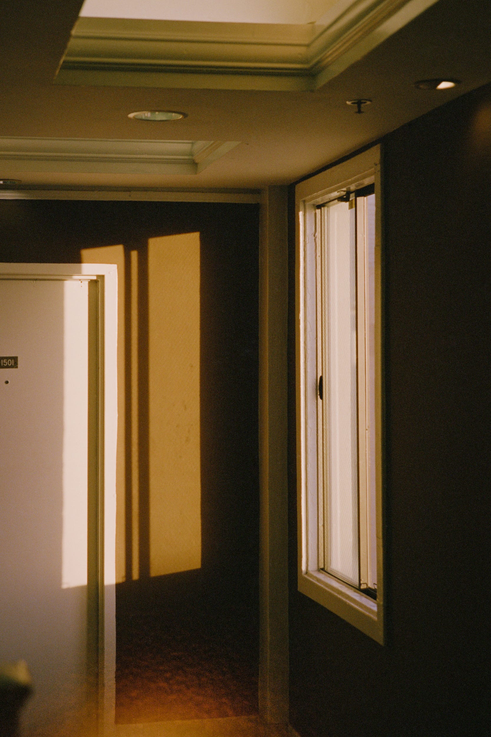 American Horror Story The Cecil Hotel Matter Medium