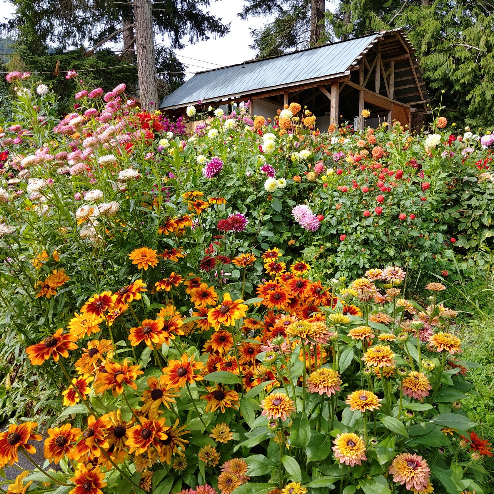 Why Planting a Bee Garden Is Good for Pollinators, Good for the