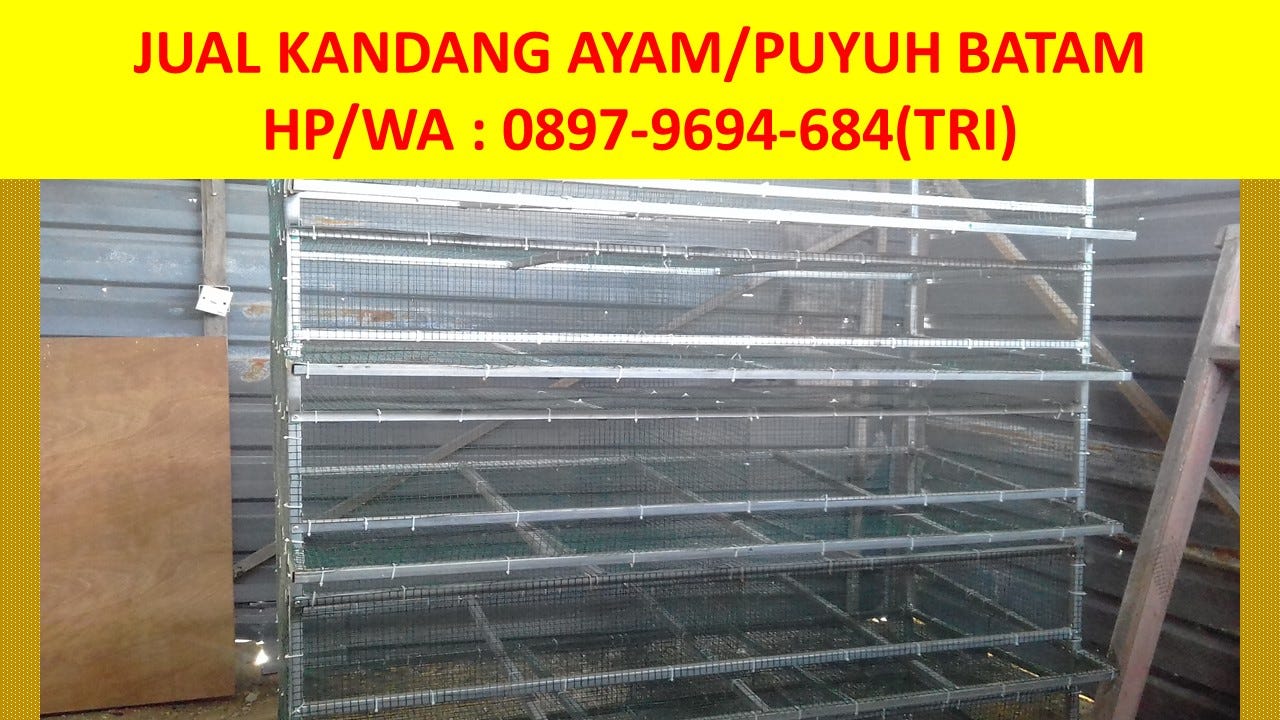 Hp Wa 0897 9694 684 Tri Jual Kandang Ayam Dan Kandang Burung