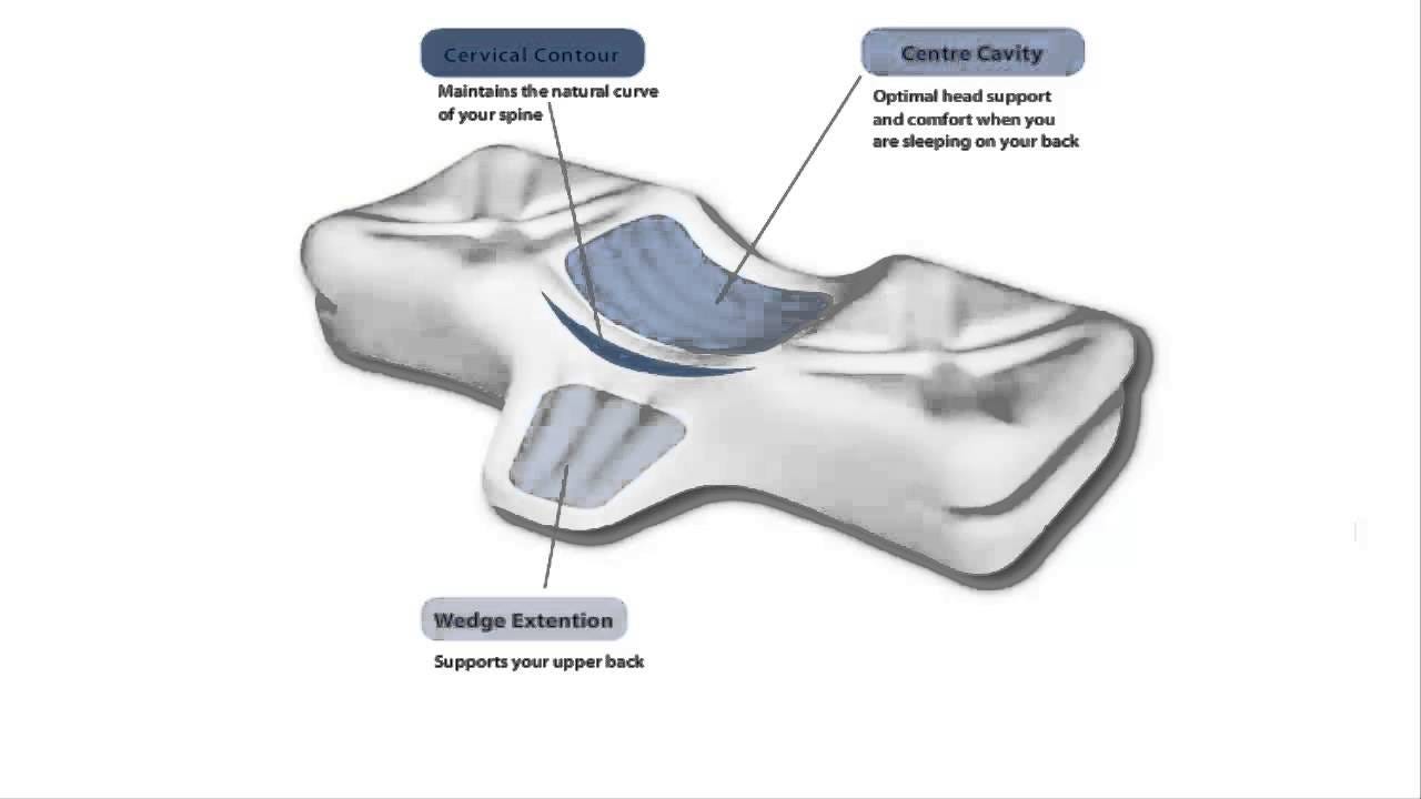 About Me Page Pain Relief Pillows For Back Pain Arman Medium