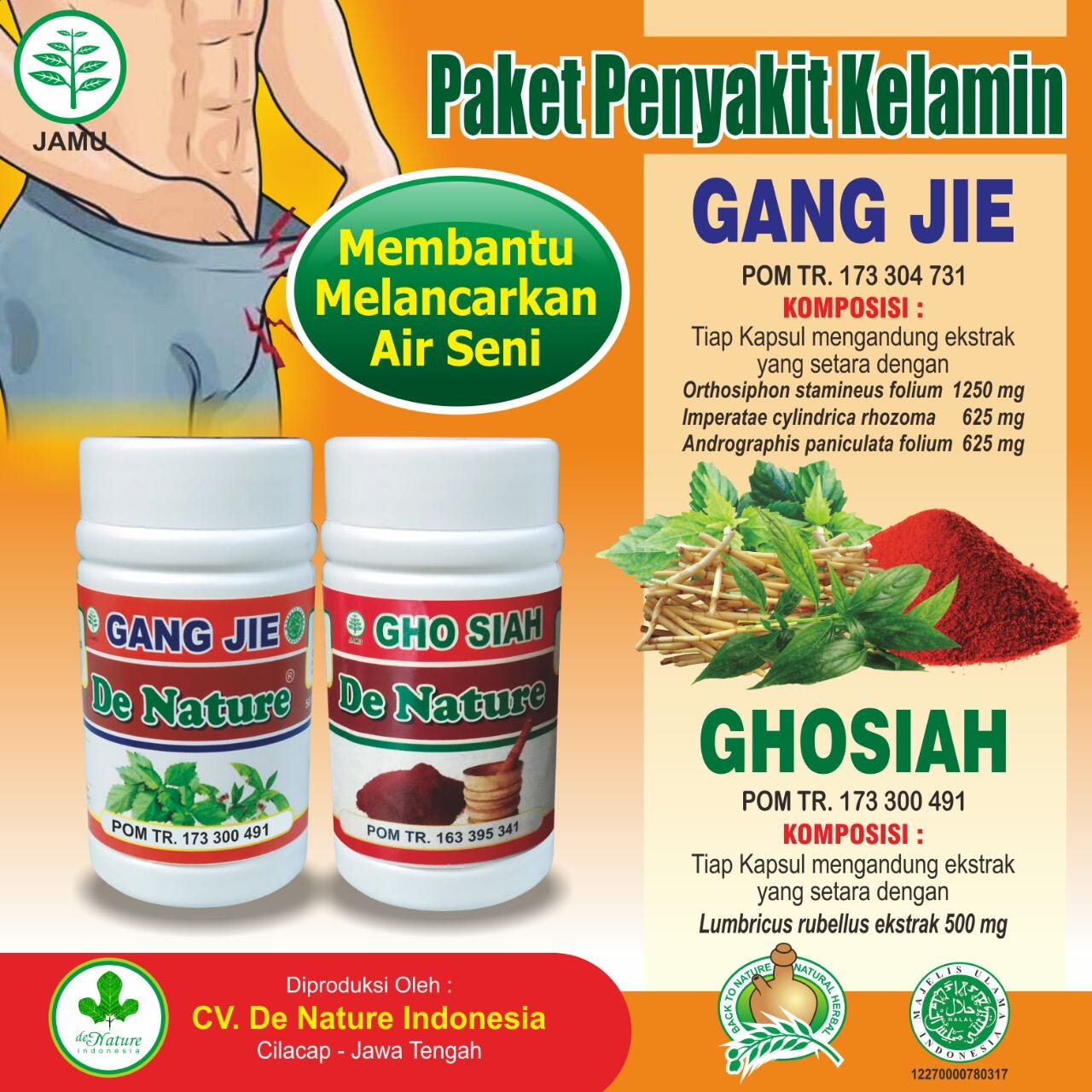 Contoh Obat Herbal Untuk Penyakit Raja Singa Yang Mudah Dibuat By Denature Herbal 13 Medium