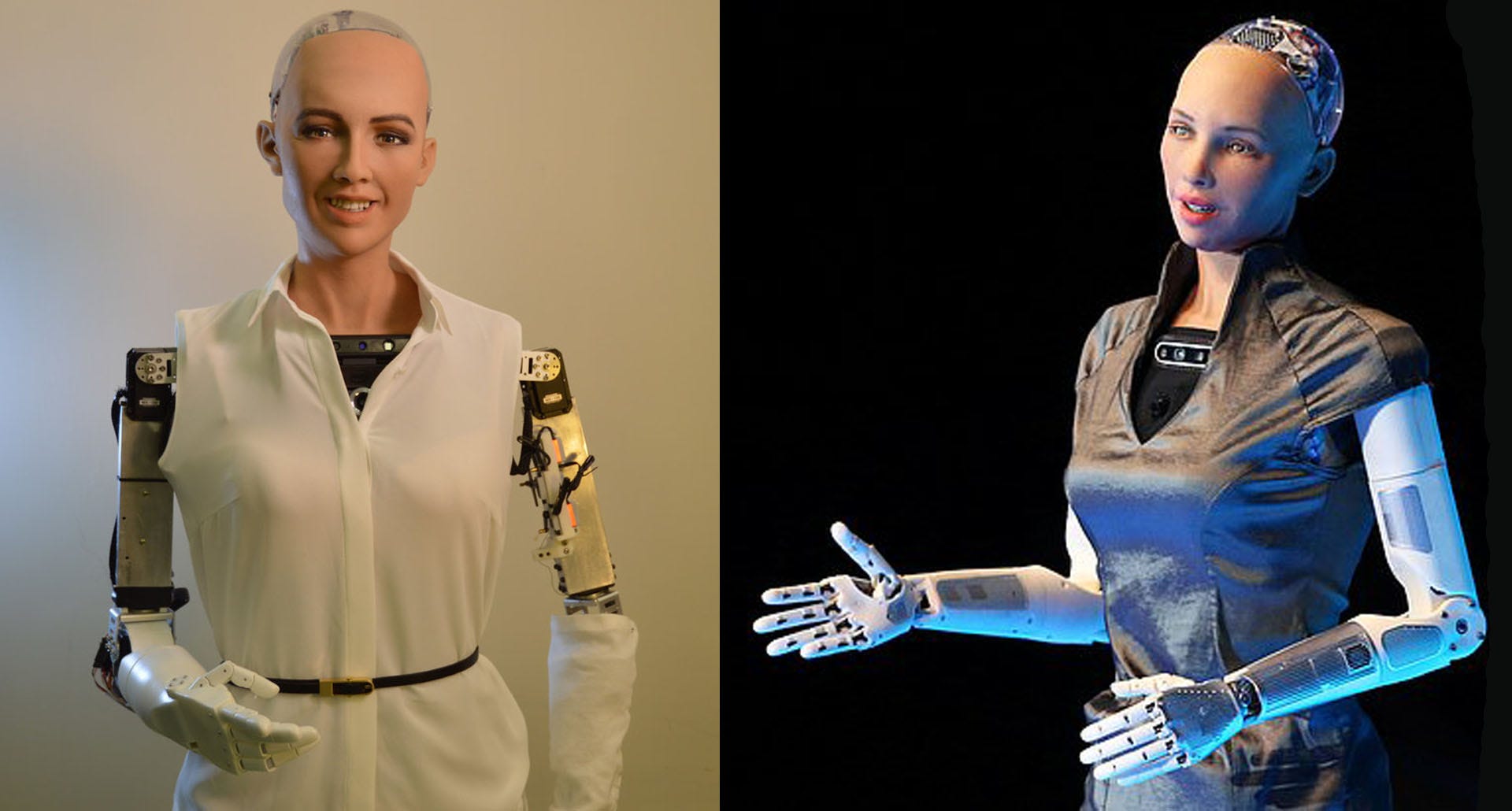 The DAO of Sophia - Hanson Robotics