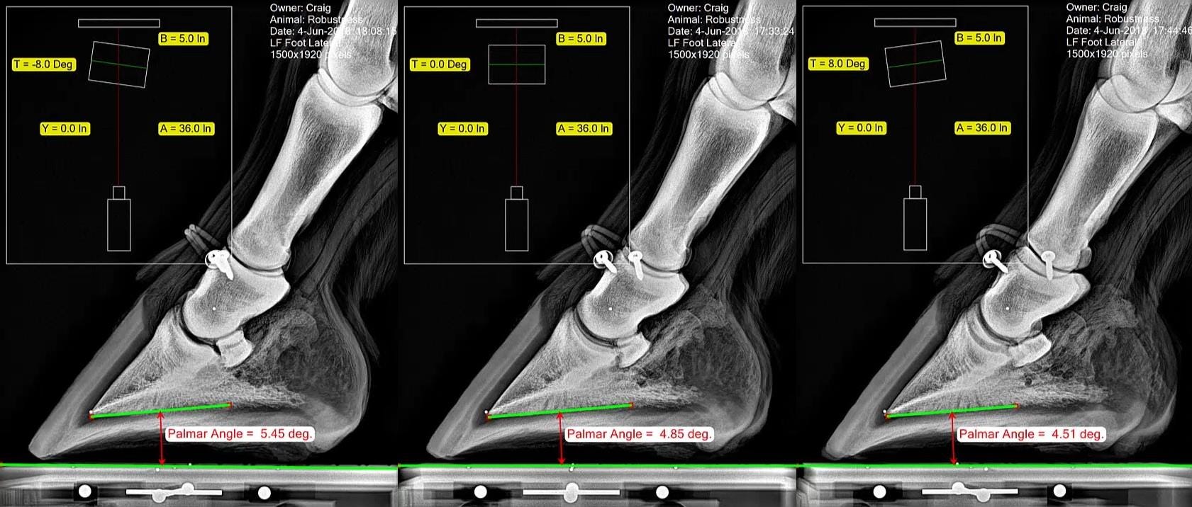 Measuring the Equine Hoof in Radiographs — a Focus on Calibration