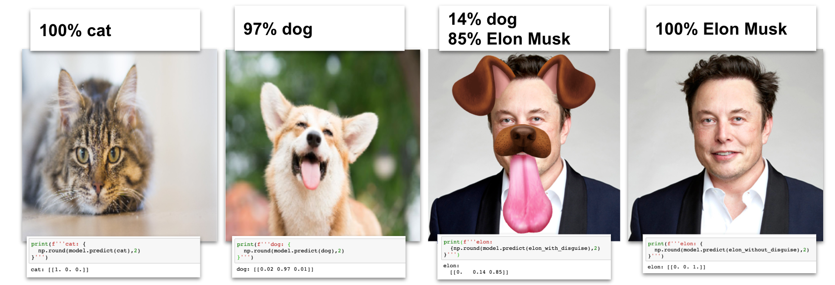 Cat, Dog, or Elon Musk? - Towards Data Science