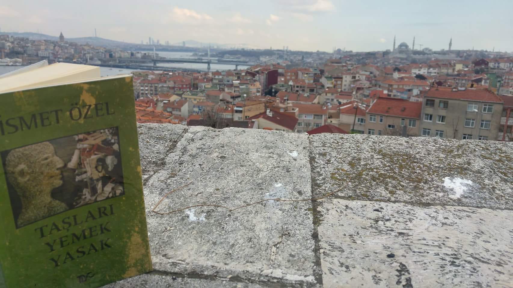 Taslari Yemek Yasak Ismet Ozel Kitabi Ve Fiyati Hepsiburada