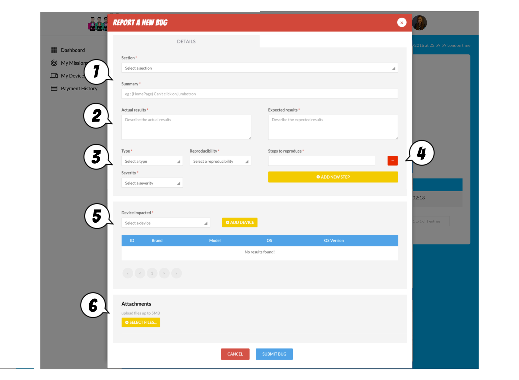 Defect report example pdf image