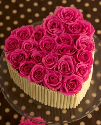 Beautiful Rose Cake For Your Love One Shipra Verma Medium