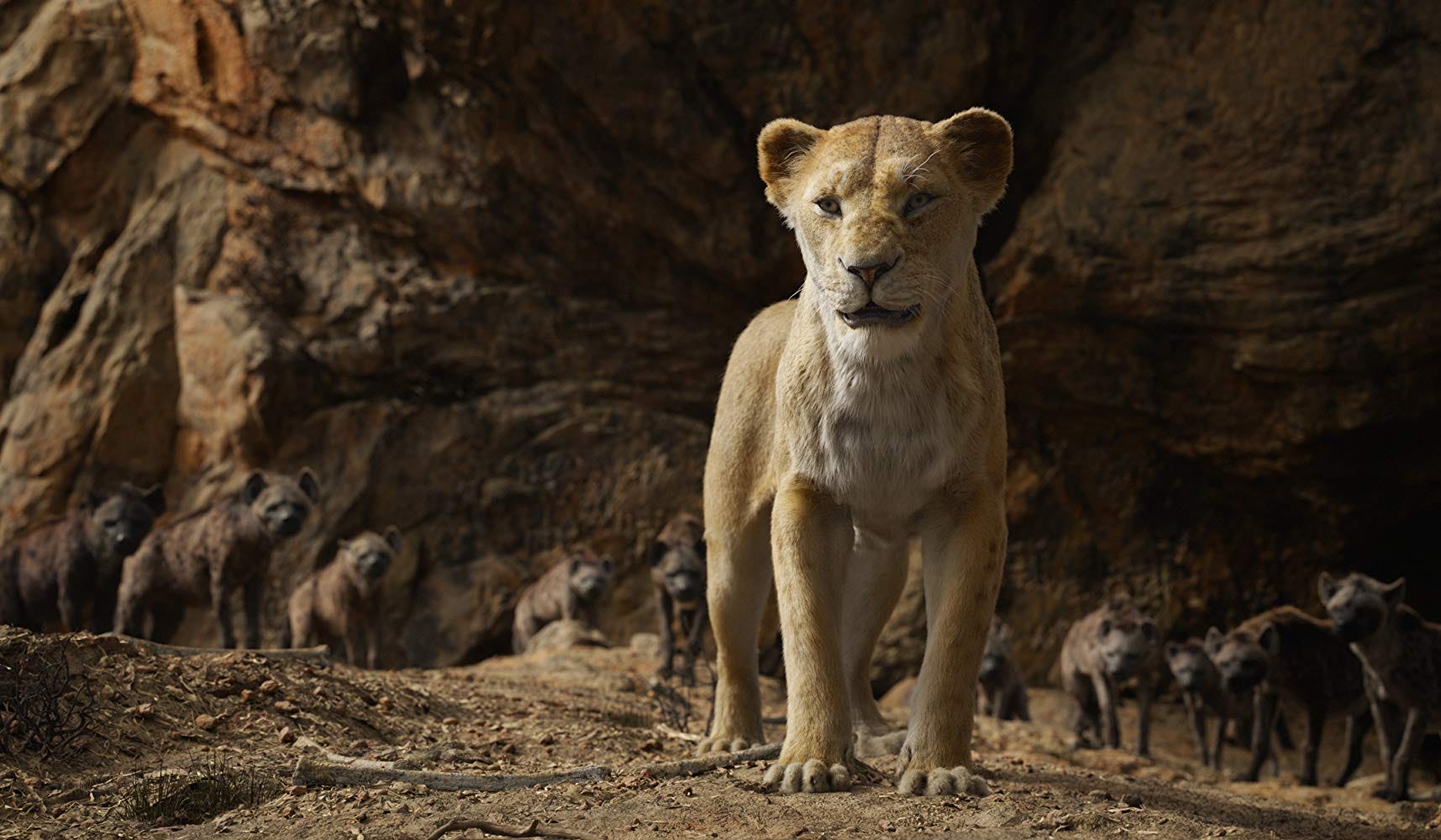 Regarder Le Film Le Roi Lion 2019 En Streaming Vf Michael