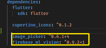 flutter ml kit tutorial