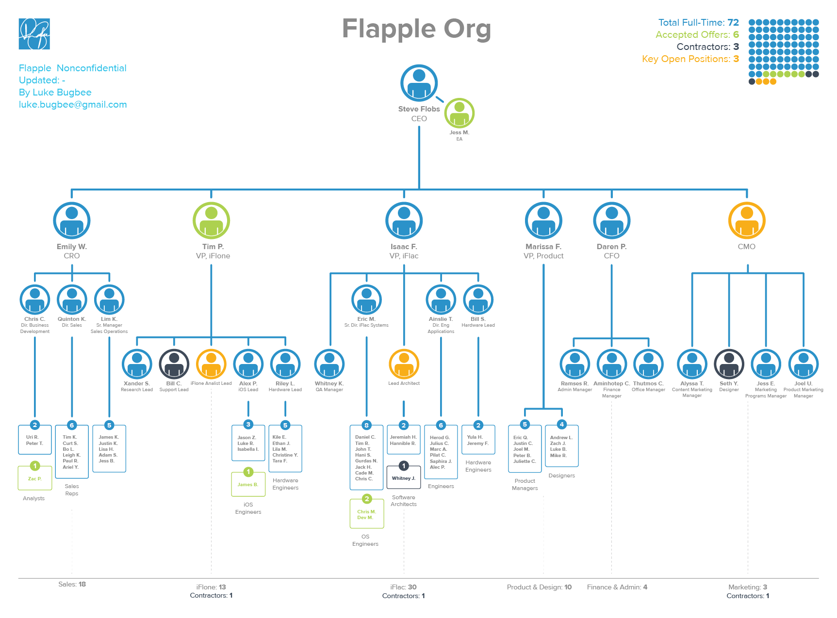 Functional Chart Vs Organizational Chart