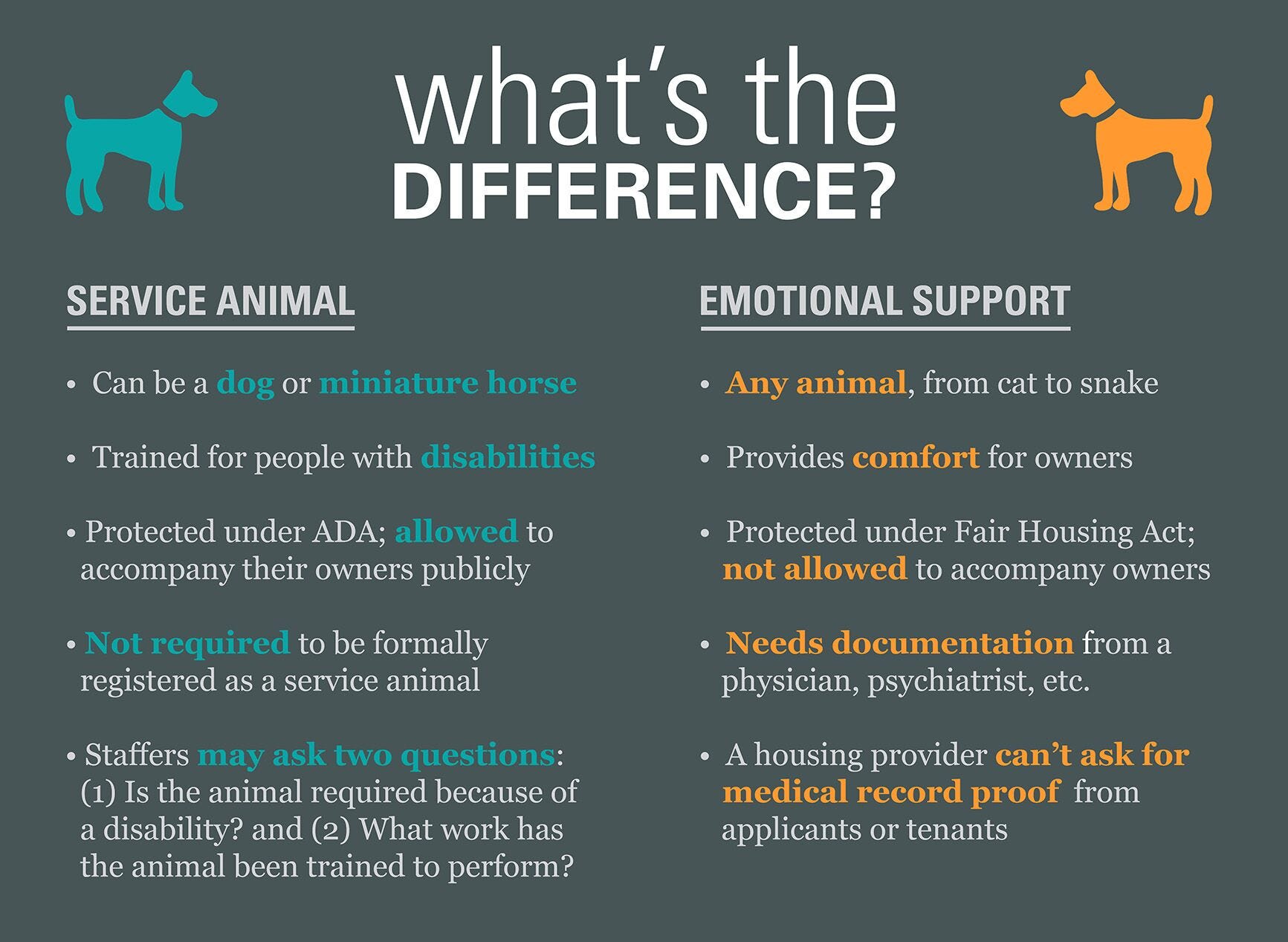 Renting With Assistance Animals Service Animals Companion Animals By Lisa J Smith Ma Mpa Griz Renter Blog Medium