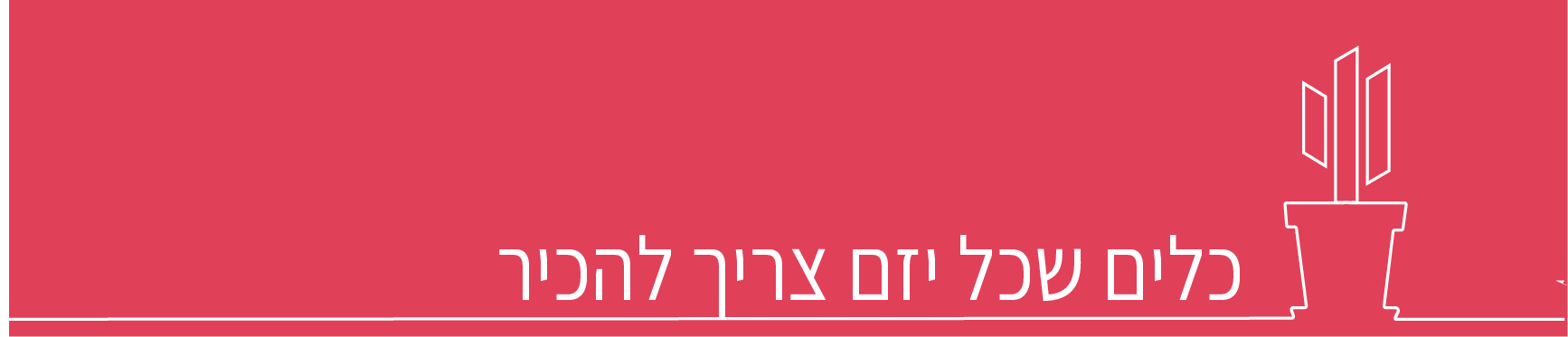 מילון המונחים לסטרטאפיסט ולאנליסט Cactus Capital Medium