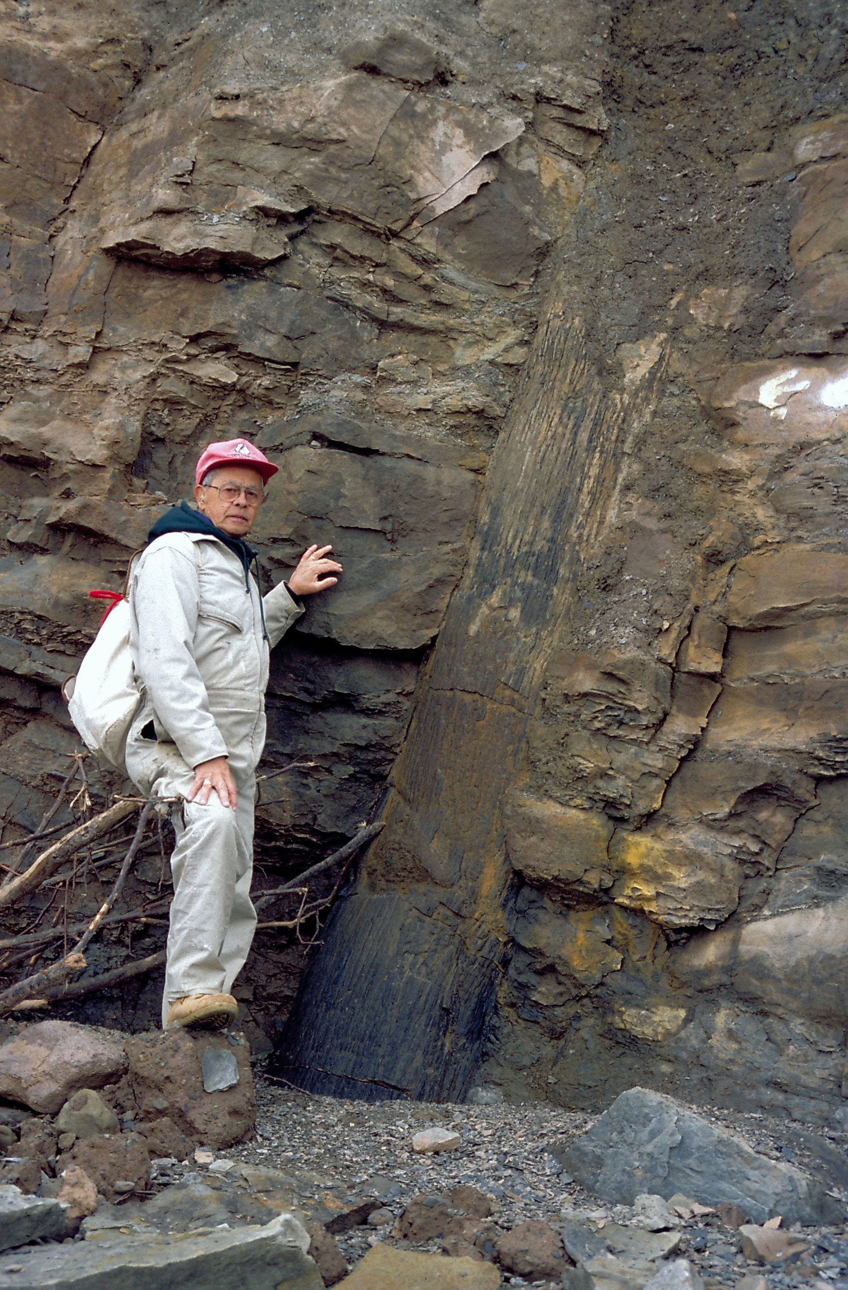 Fossil Cliffs of Joggins