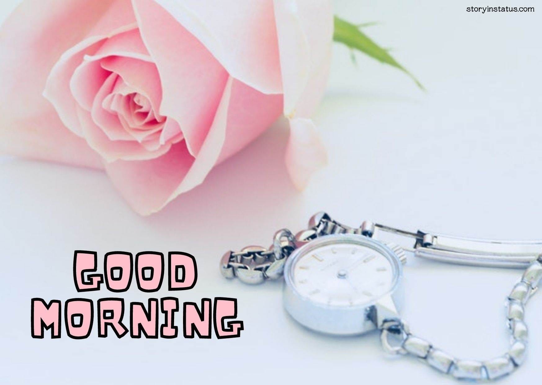 Good Morning Flower Hd Images, Photos | by BeastBoy | Sep, 2020 | Medium