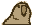 old parrot