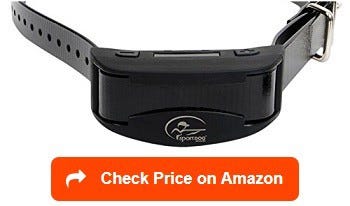 best bark collar 2018