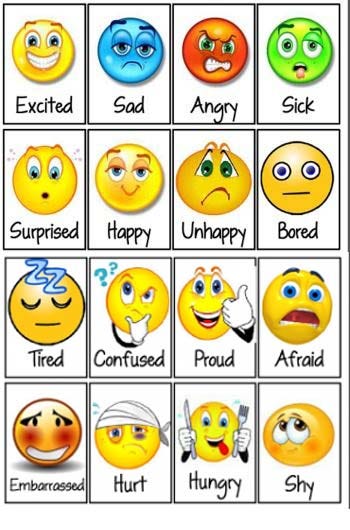 Emotional Intelligence: learning what feelings are, what feelings do ...