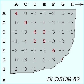 How To Interpret Blast Results A Short Summary Of The Quality Metrics By Grace Reed The Computational Biology Magazine Medium