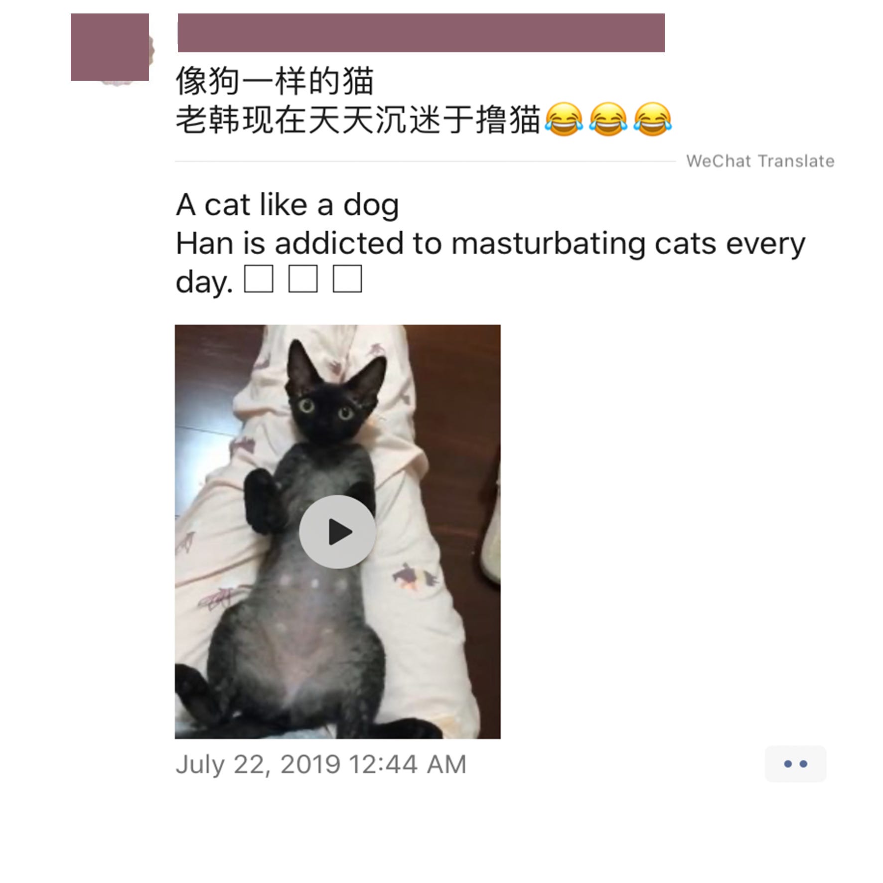 Masturbating The Cat And The Hilarious Dangers Of Machine Translation From Chinese To English By Asen Velinov Medium