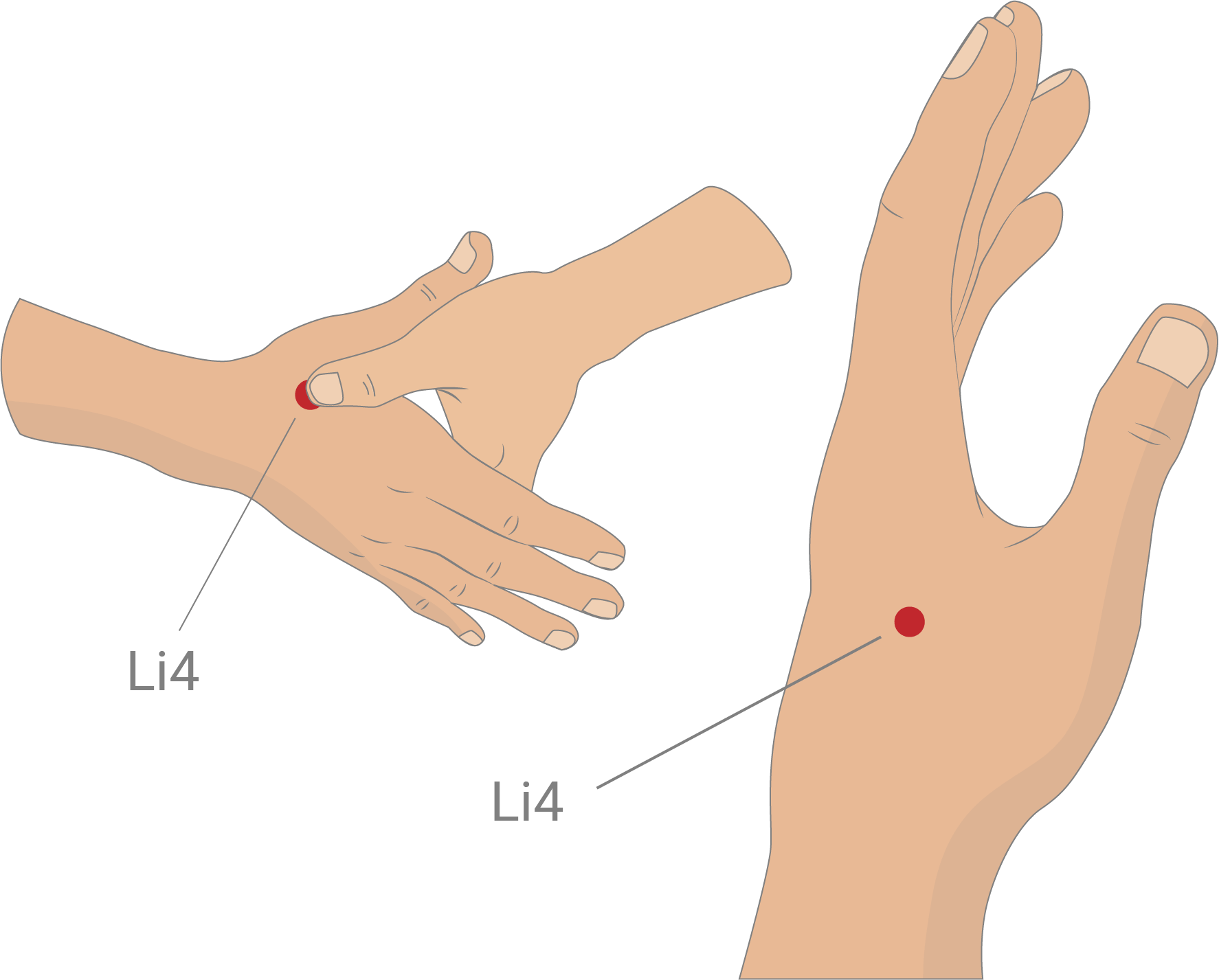 6 Acupressure Points for Stress & Digestion by Stephanie Wu
