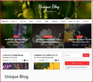 this image contains a window snip of WordPress Theme Unique Blog