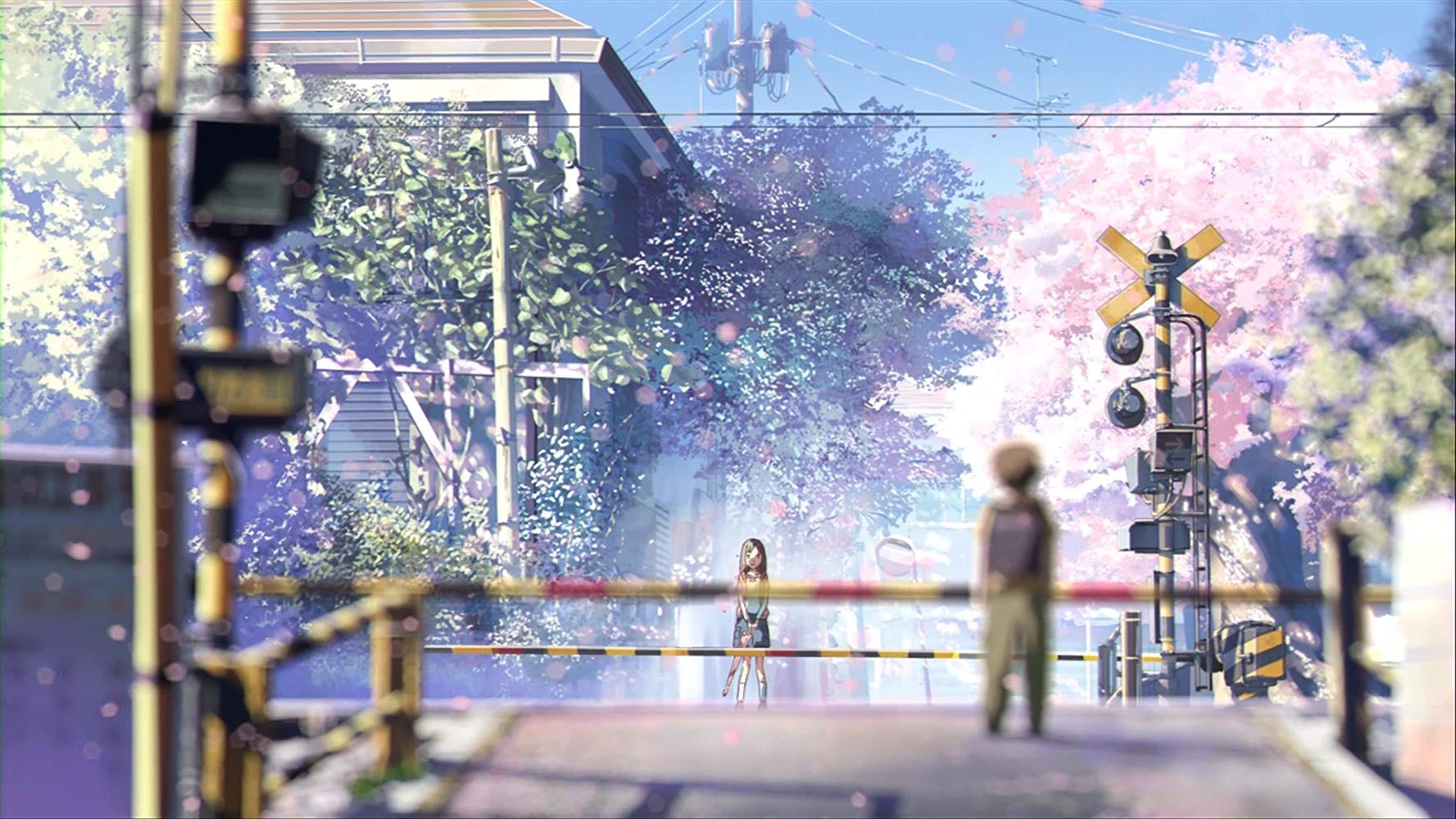 5 Centimeters Per Second