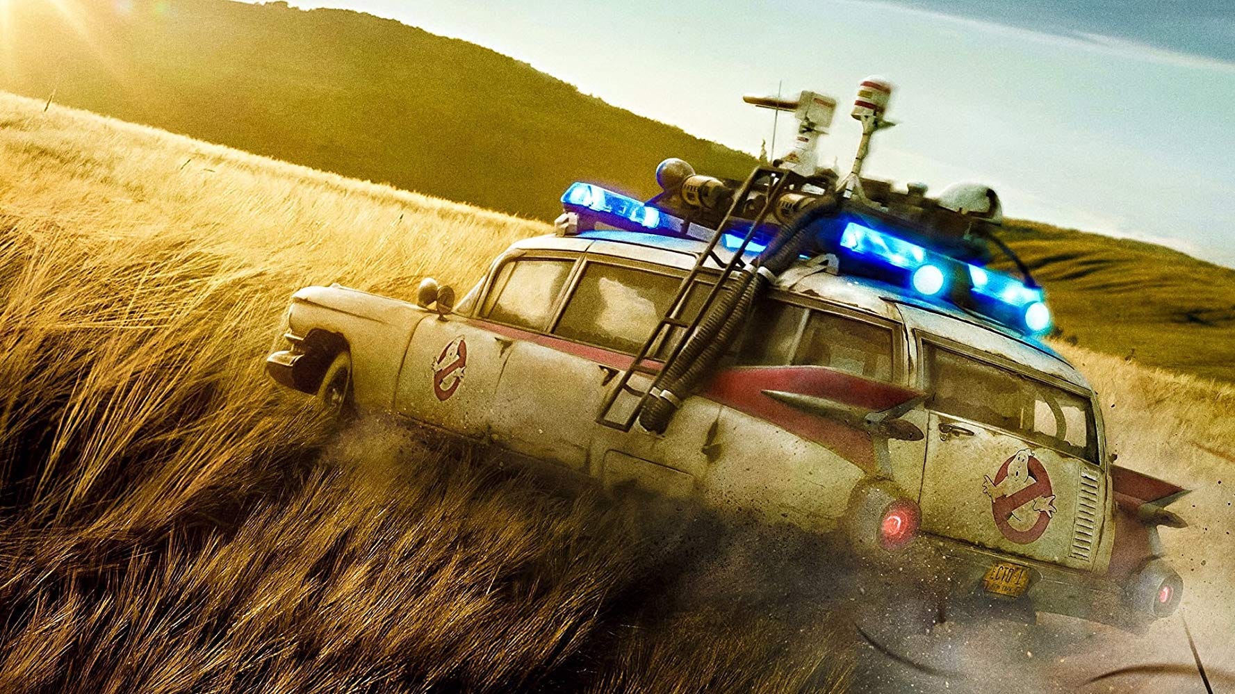 My Most Anticipated Movies of 2020 | by Sam Lenz | Medium