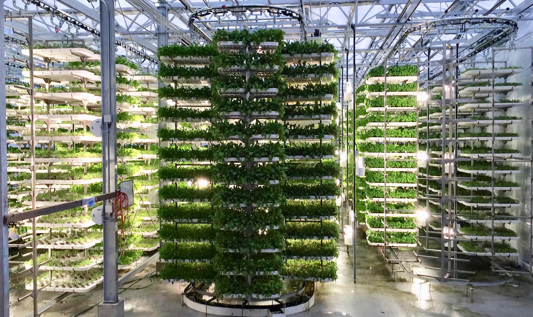 Digitization, and the future of urban agriculture. | by Mike Nasseri |  Medium