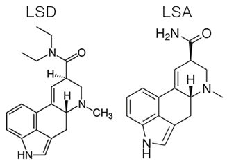 LSA comparison with LSD