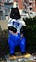 New Bern North Carolina Bear