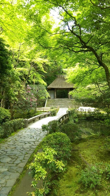 哲學之道 法然院 伏見稻荷 嵐山 廣川鰻魚飯 Day 4 By Yu Medium