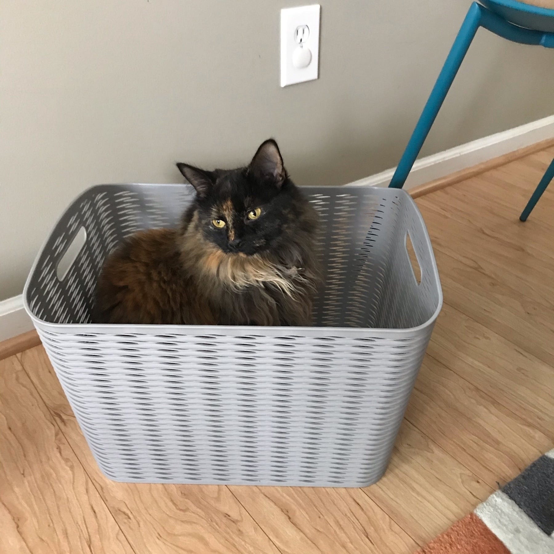 basket for us