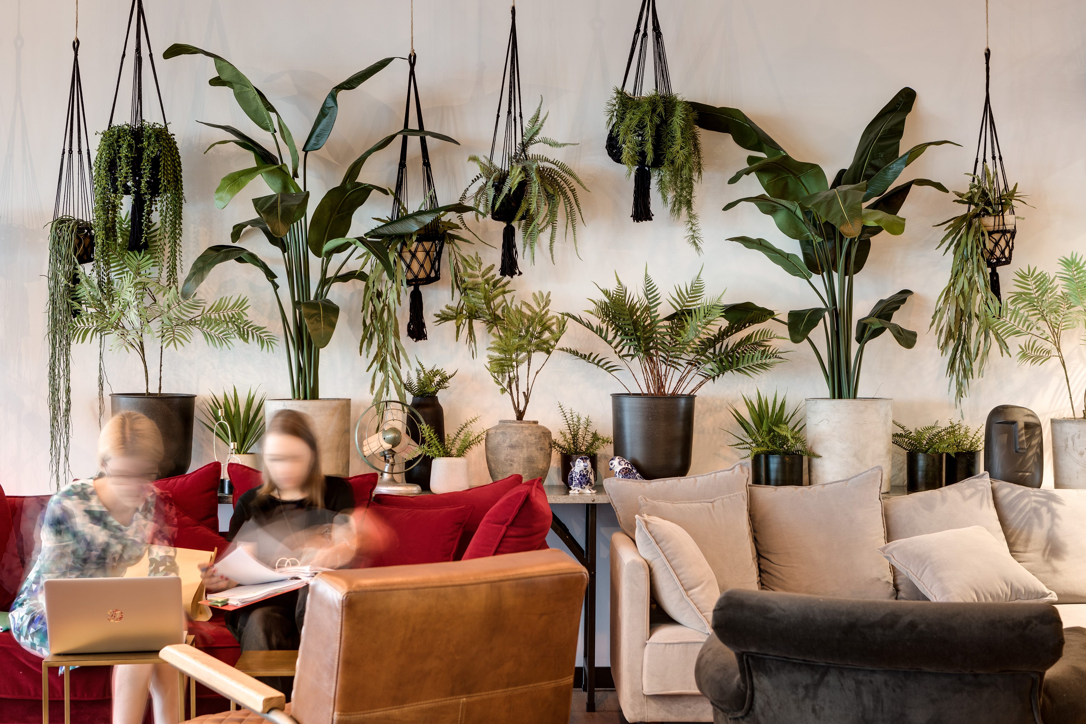 Plants In The Office Why A Little Bit Of Green Can Make A Big