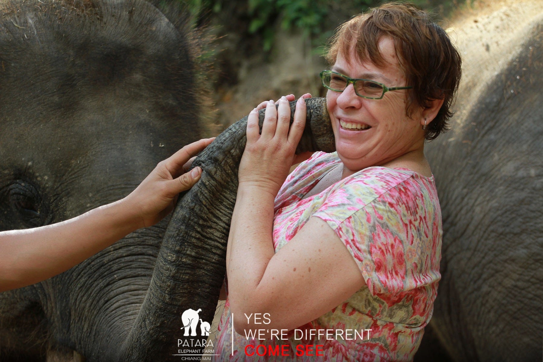 Elephants!. Elephants flap their ears when they’re… by Lisa Orange