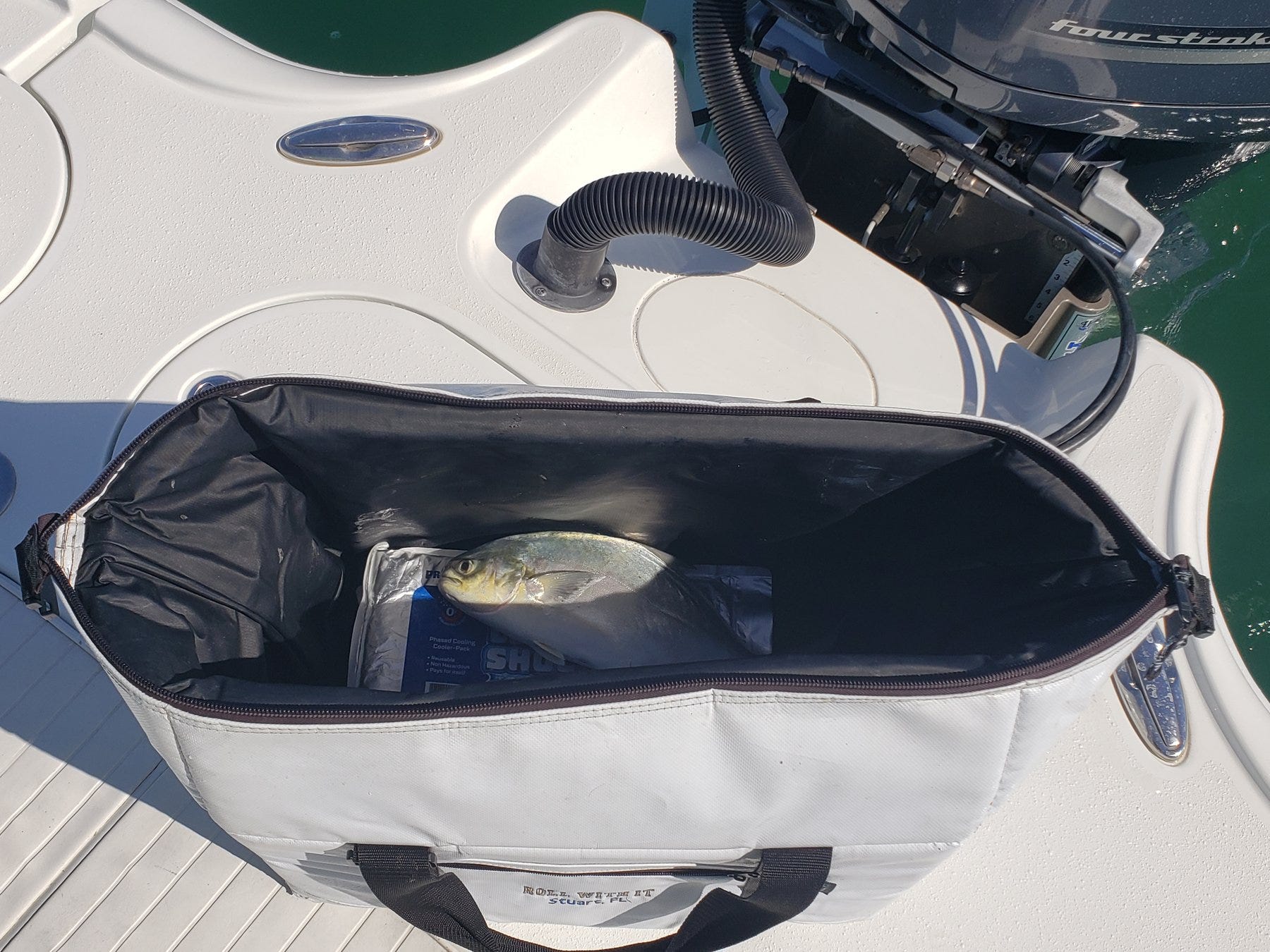 fish cooler bag