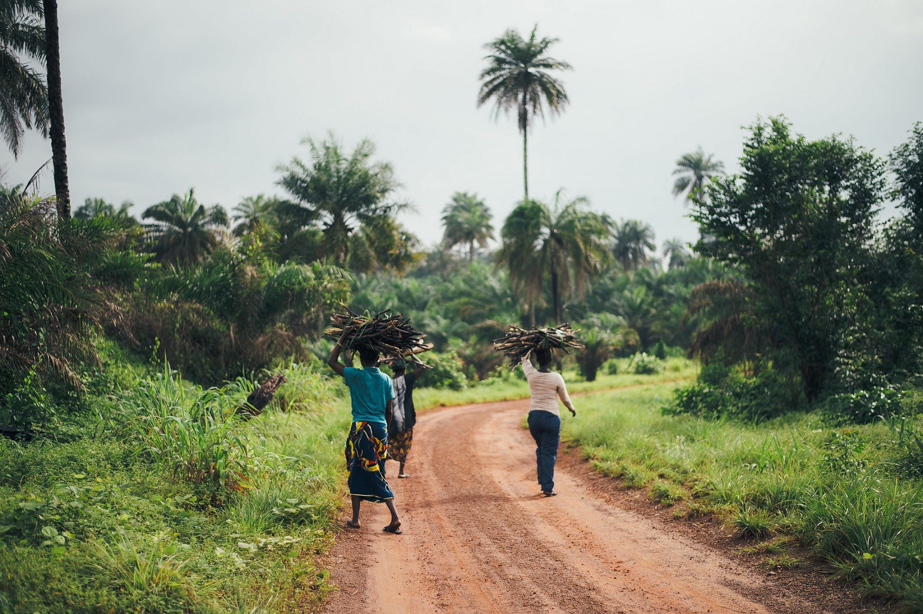 Financial Inclusion in Rural Nigeria (CICO Economics)