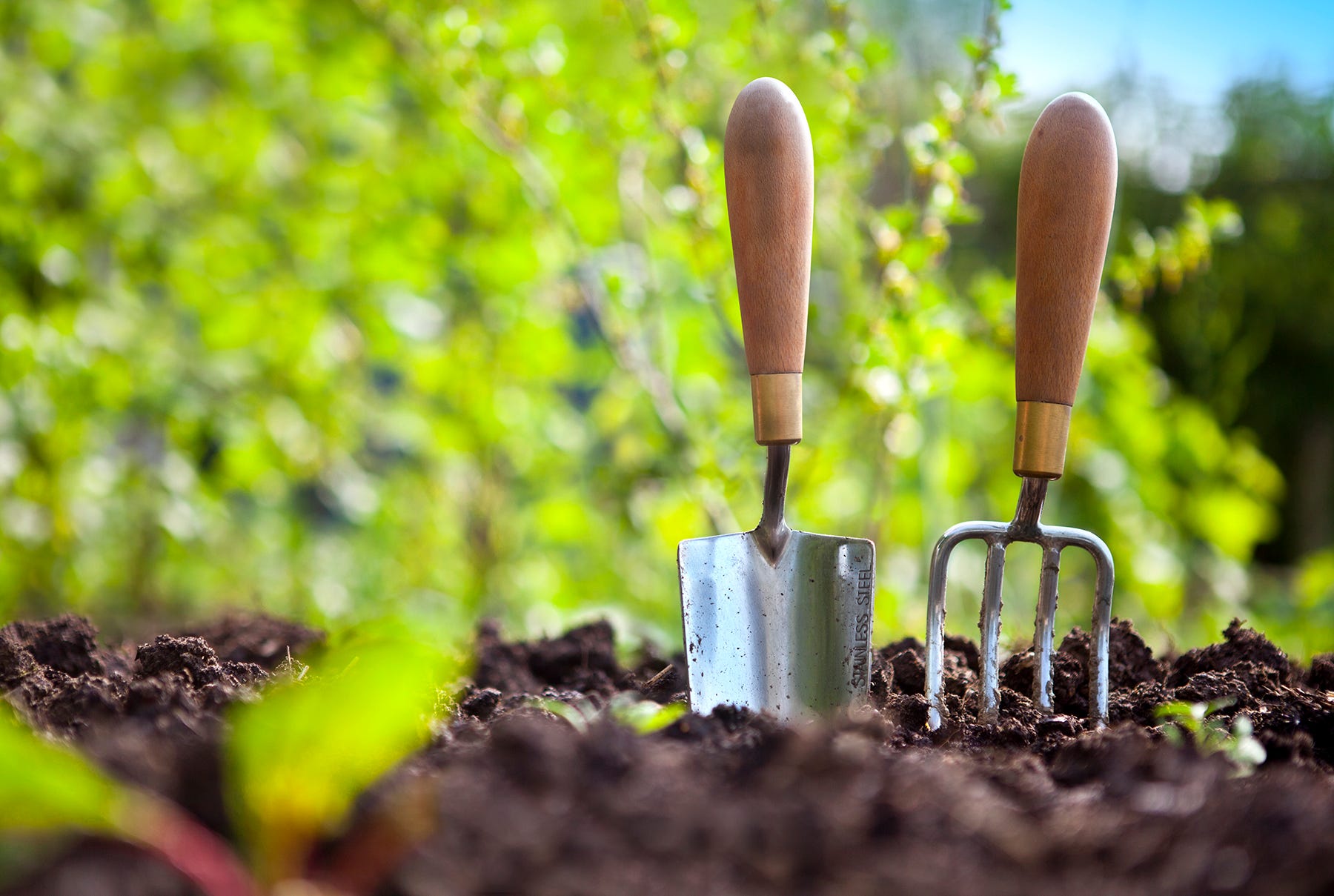 4 Essential Gardening Tools And Their Uses Lawn Mowing Medium