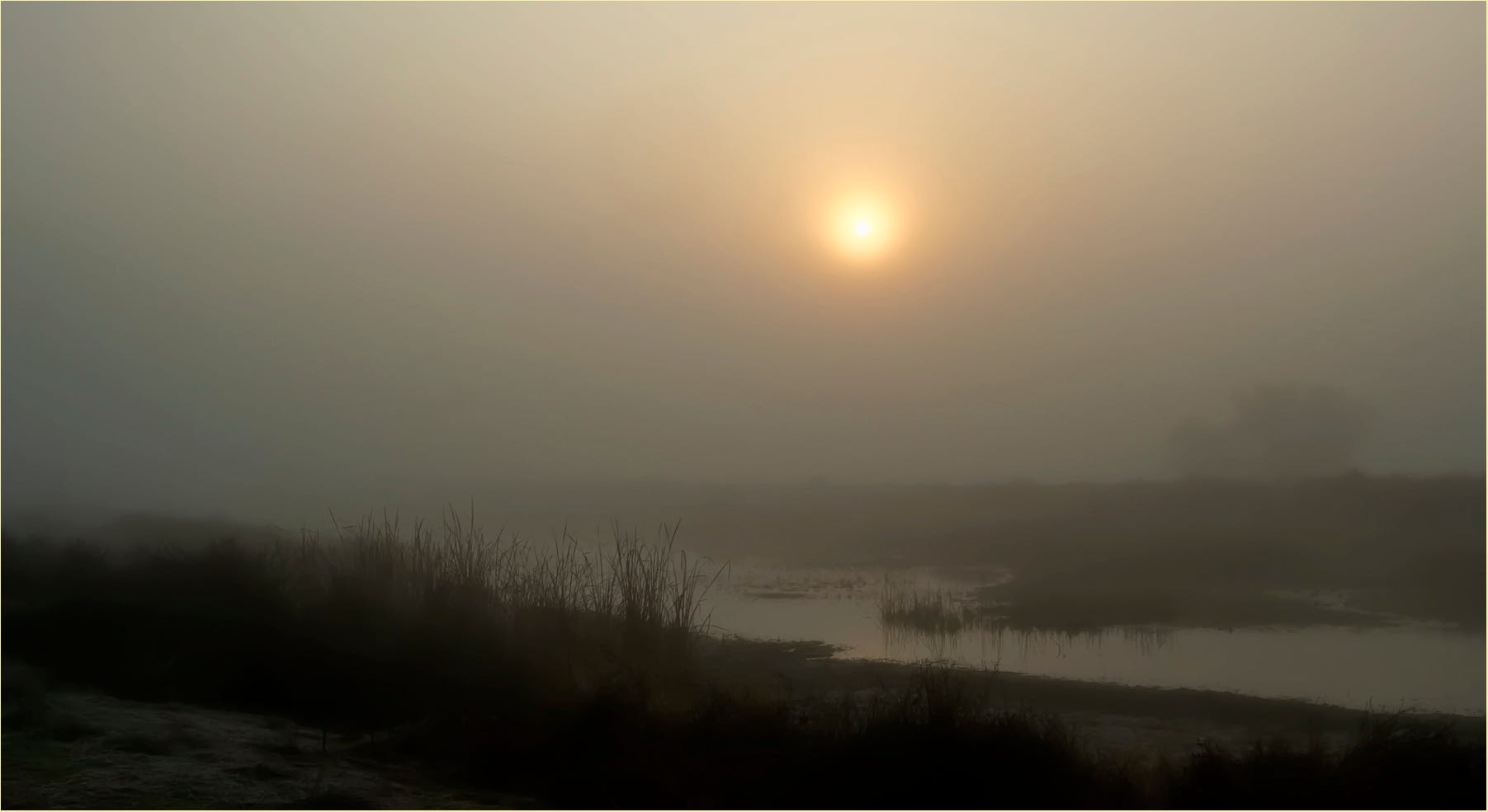 The blinding fog of California’s Central Valley | by Mike McPhate | The ...