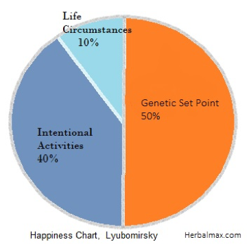 Lyubomirsky Happiness Pie Chart