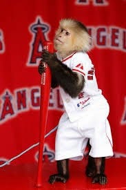 monkey unofficial
