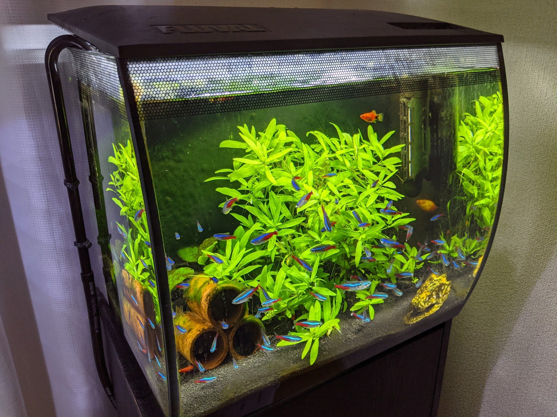 六本木で働く外資系データサイエンティストマネージャーが年買って良かったもの Minori M Medium