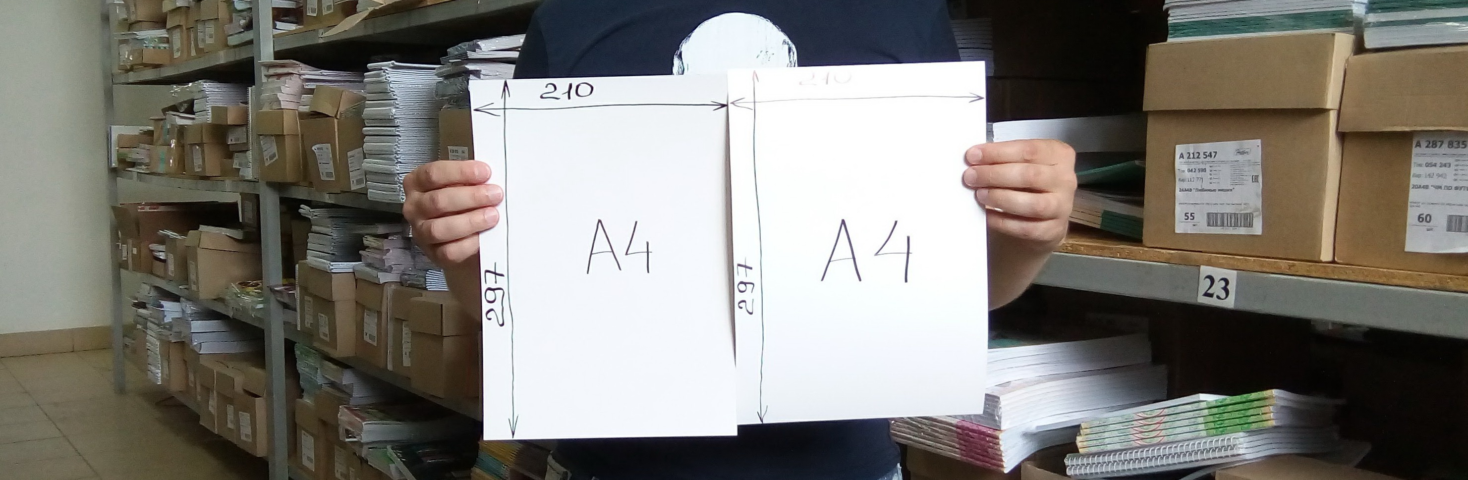 Фотография с примером бумаги А3 в виде двух листов А4, соединённых вместе