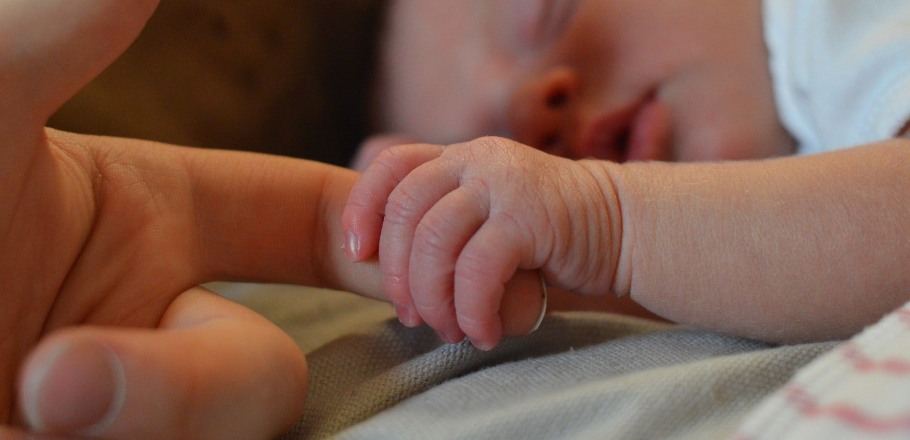 best non gmo baby formula