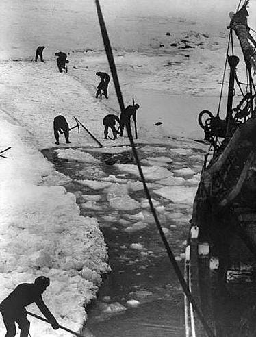 100 Years Later: What Shackleton's grueling Antarctic can teach entrepreneurs by Bryan Johnson | Future Literacy | Medium