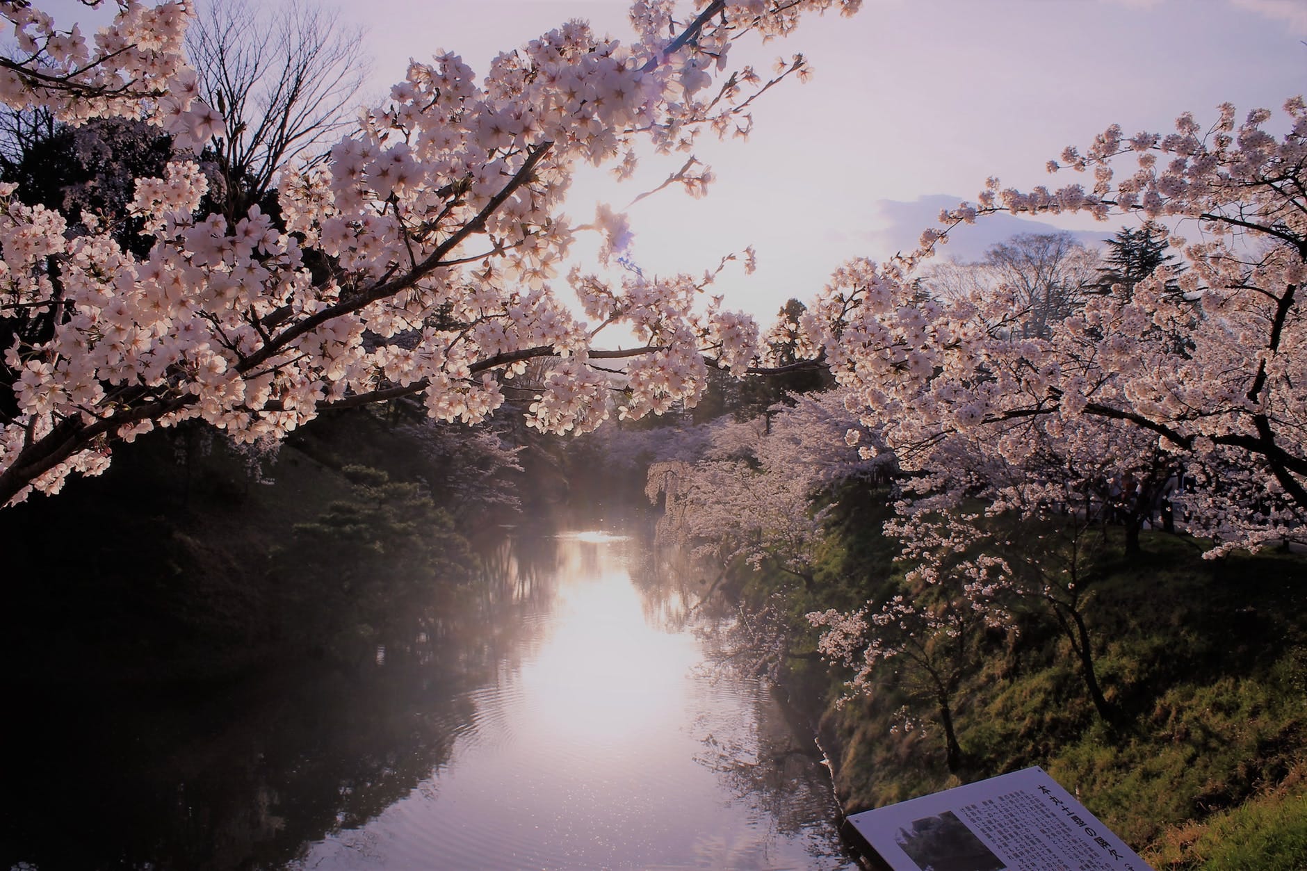 Crypto Spring Is In The Air The Media Has Been Hard Pressed To Come By Greg Cipolaro Digitalassetresearch Medium Crypto Spring Is In The Air The Media Has Been Hard Pressed To Come By Greg Cipolaro Digitalassetresearch Medium