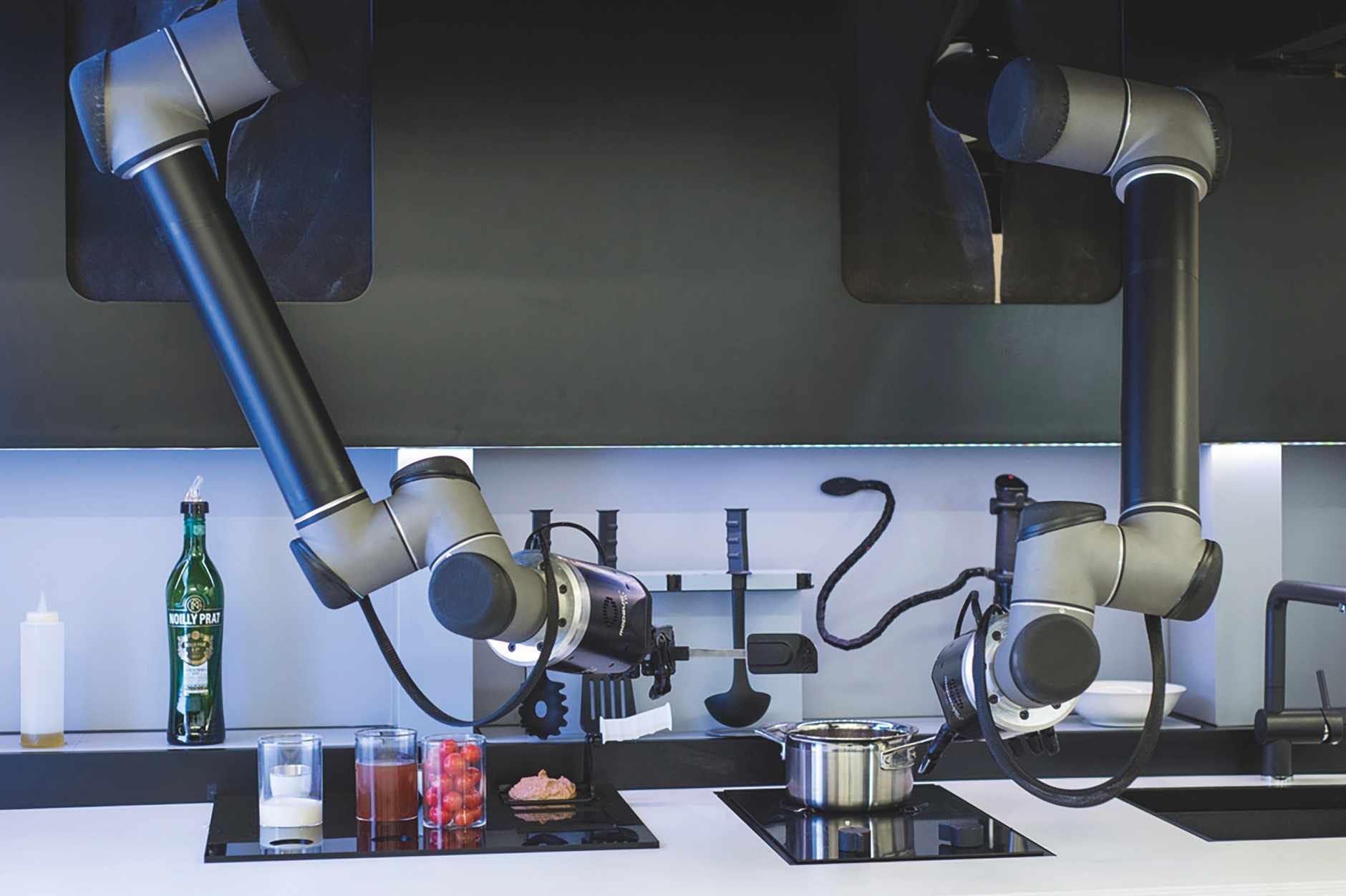 moley robotics 2019